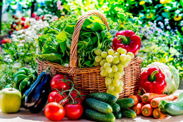 Variety of fresh organic vegetables and fruits in the garden