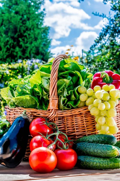 Variété de légumes et fruits frais biologiques dans le jardin — Photo