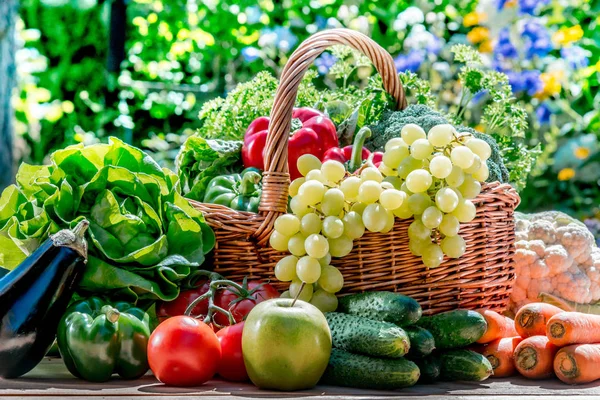 Variété de légumes et fruits frais biologiques dans le jardin — Photo