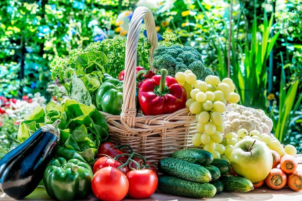 Variété de légumes et fruits frais biologiques dans le jardin — Photo