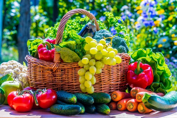 Berbagai sayuran organik segar dan buah-buahan di kebun — Stok Foto