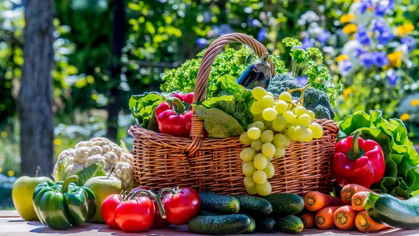 Variedad de verduras y frutas orgánicas frescas en el jardín — Foto de Stock