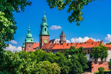 Görünüm wawel Kalesi Krakow, Polonya
