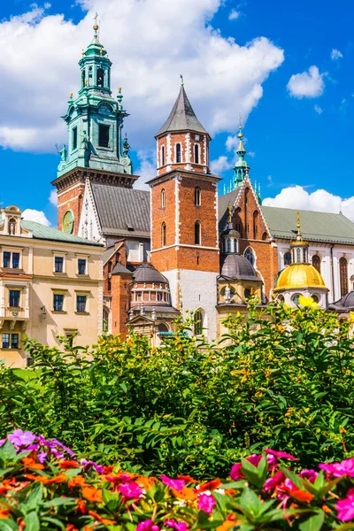 Катедра Святих на пагорбі Вавель у Кракові, Польща — стокове фото