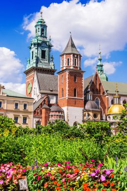 Wawel Katedrali Wawel Hill, Krakow, Polonya