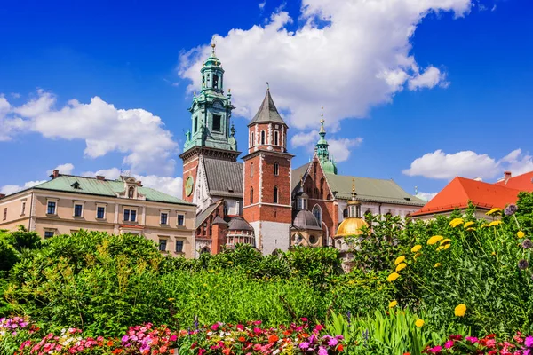 瓦维尔大教堂在波兰克拉科夫的瓦维尔山 — 图库照片