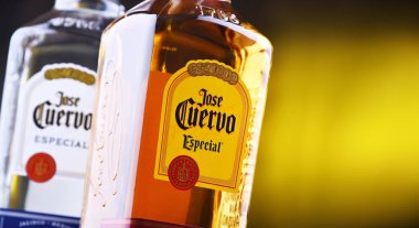 Tekila Şişeleri Jose Cuervo