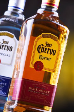 Jose Cuervo ネオン看板 テキーラボトル型　非売品 Jose Cuervo ネオン看板 テキーラボトル型非売品