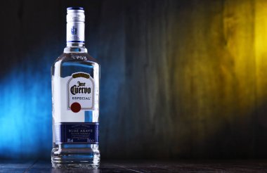 Tekila Şişesi Jose Cuervo