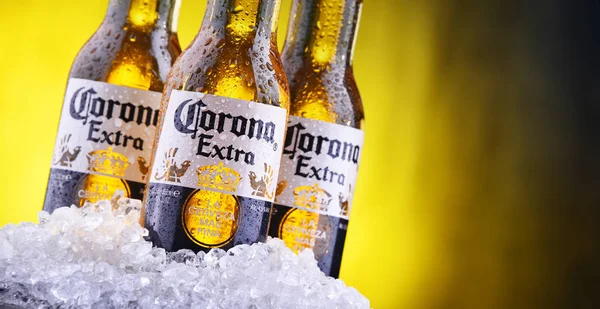 Botellas de cerveza Corona Extra — Foto de Stock