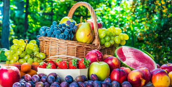 Variedade de frutas maduras frescas no jardim . — Fotografia de Stock