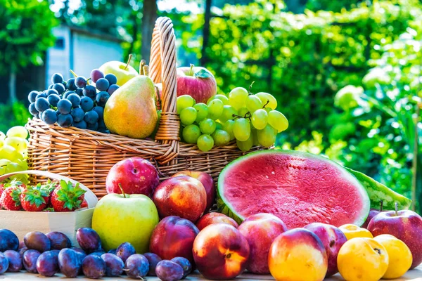 Variety of fresh ripe fruits in the garden. — Stock Photo, Image