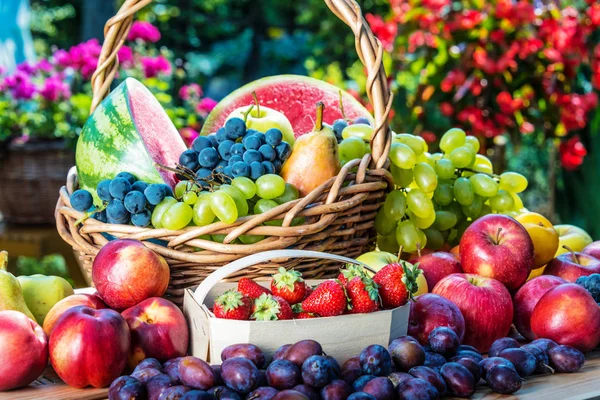 Vielfalt an frischen, reifen Früchten im Garten. — Stockfoto