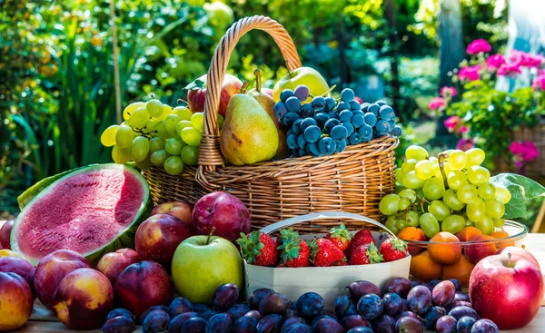 Variedad de frutas frescas maduras en el jardín . — Foto de Stock