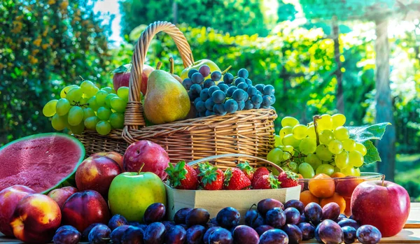 Varietà di frutta fresca matura in giardino . — Foto Stock