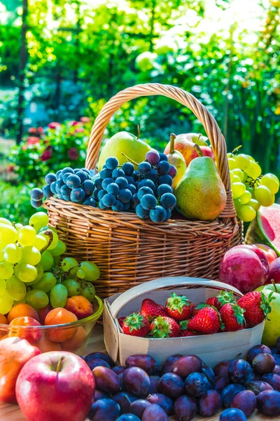 Variedade de frutas maduras frescas no jardim . — Fotografia de Stock