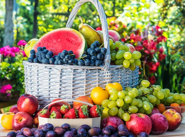 Variety of fresh ripe fruits in the garden. — Stock Photo, Image