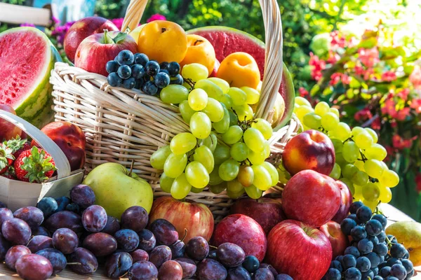 Variedad de frutas frescas maduras en el jardín . — Foto de Stock