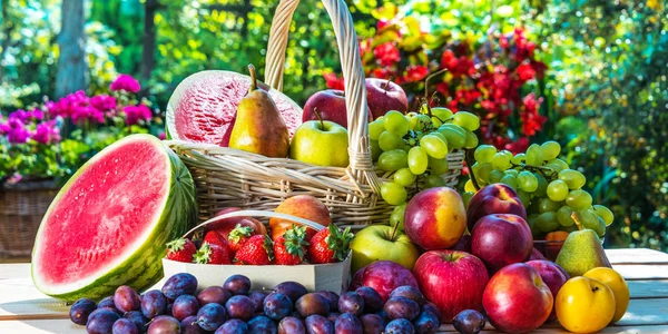 Varietà di frutta fresca matura in giardino . — Foto Stock