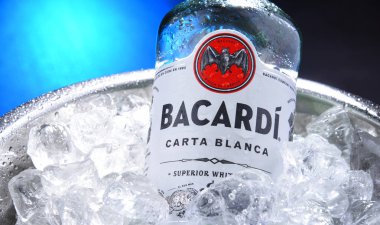 Ezilmiş buz ile kova Bacardi altın rom Şişesi