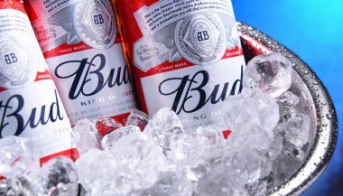 Ezilmiş buz ile kova bud bira şişeleri
