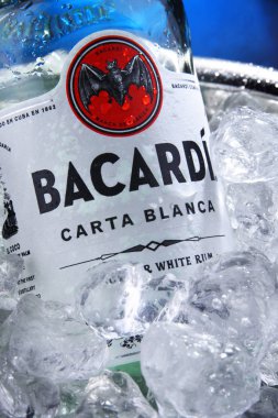 Ezilmiş buz ile kova Bacardi altın rom Şişesi