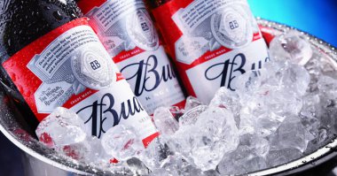Ezilmiş buz ile kova bud bira şişeleri
