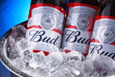 Ezilmiş buz ile kova bud bira şişeleri