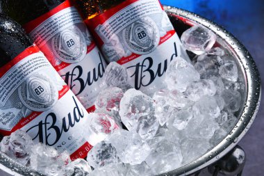 Ezilmiş buz ile kova bud bira şişeleri