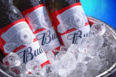 Ezilmiş buz ile kova bud bira şişeleri