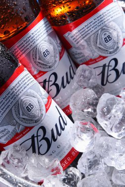 Ezilmiş buz ile kova bud bira şişeleri