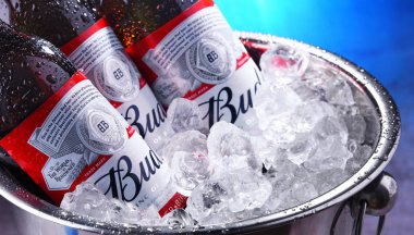 Ezilmiş buz ile kova bud bira şişeleri