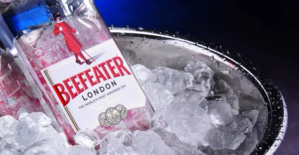 Bouteille de Beefeater Gin dans un seau avec glace concassée — Photo