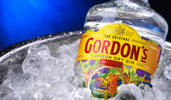 Bottle of Gordon's London Dry gin in bucket with crushed ice — Stock Photo, Image