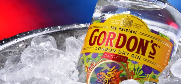 Bottle of Gordon's London Dry gin in bucket with crushed ice — Stock Photo, Image