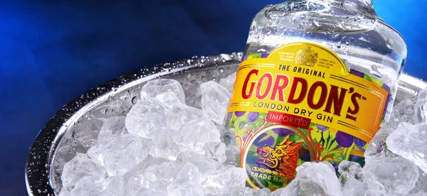 Bottle of Gordon's London Dry gin in bucket with crushed ice — Stock Photo, Image