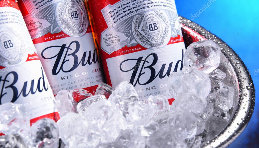 POZNAN, POL - SEP 4, 2019: Bottles of Bud beer, an American-style pale lager produced by Anheuser-Busch, introduced in St. Louis, Missouri in 1876.