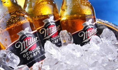 Miller orijinal taslak bira şişesi
