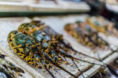 Geleneksel Vietnam sokak yemekleri Da Nang gece pazarında satılıyor.