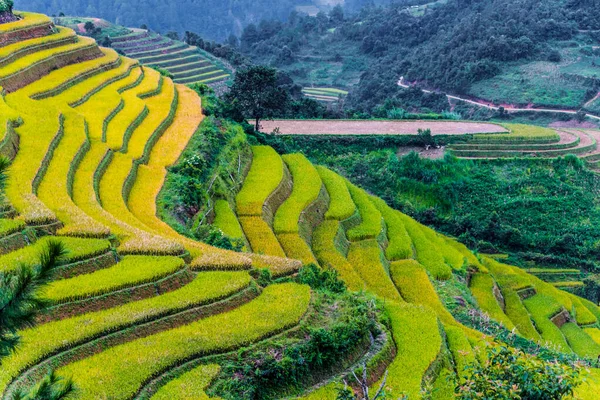 Vista paisagem de campos de arroz no distrito de Mu Cang Chai, VIetnam — Fotografia de Stock