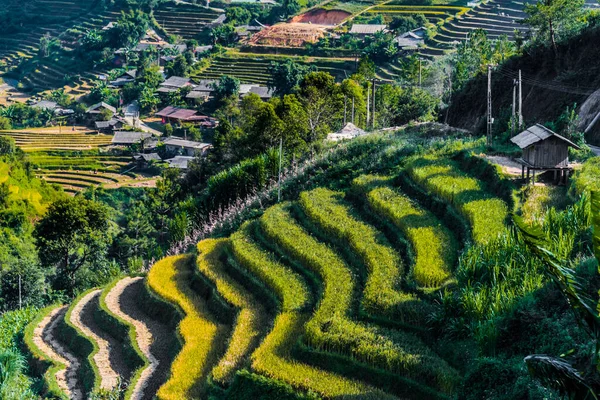 Vista paisagem de campos de arroz no distrito de Mu Cang Chai, VIetnam — Fotografia de Stock