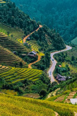 Mu Cang Chai bölgesindeki pirinç tarlalarının manzarası, Vietnam