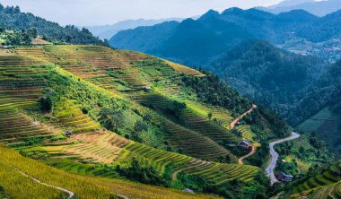 Mu Cang Chai bölgesindeki pirinç tarlalarının manzarası, Vietnam