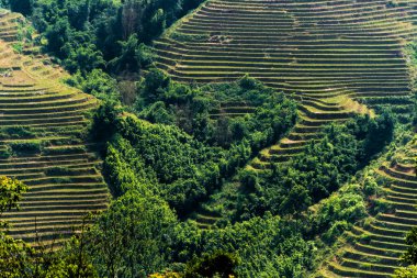 Vietnam 'ın Lao Cai eyaletindeki Sapa Vadisi manzarası
