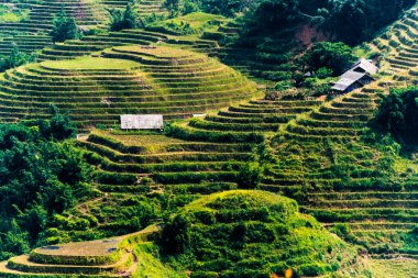 Vietnam 'ın Lao Cai eyaletindeki Sapa Vadisi manzarası