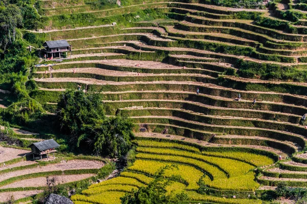 Vista paisagem de campos de arroz no distrito de Mu Cang Chai, VIetnam — Fotografia de Stock