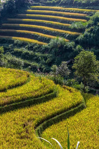 Tájkép kilátás rizsföldek Mu Cang Chai kerület, Vietnam — Stock Fotó