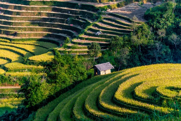 Krajinný pohled na rýžová pole v okrese Mu Cang Chai, Vietnam — Stock fotografie