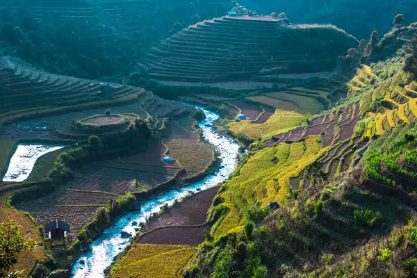 Vista paisagem de campos de arroz no distrito de Mu Cang Chai, VIetnam — Fotografia de Stock