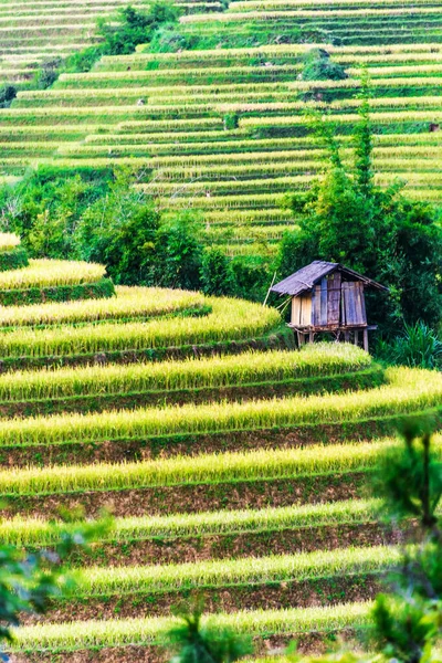 Krajinný pohled na rýžová pole v okrese Mu Cang Chai, Vietnam — Stock fotografie
